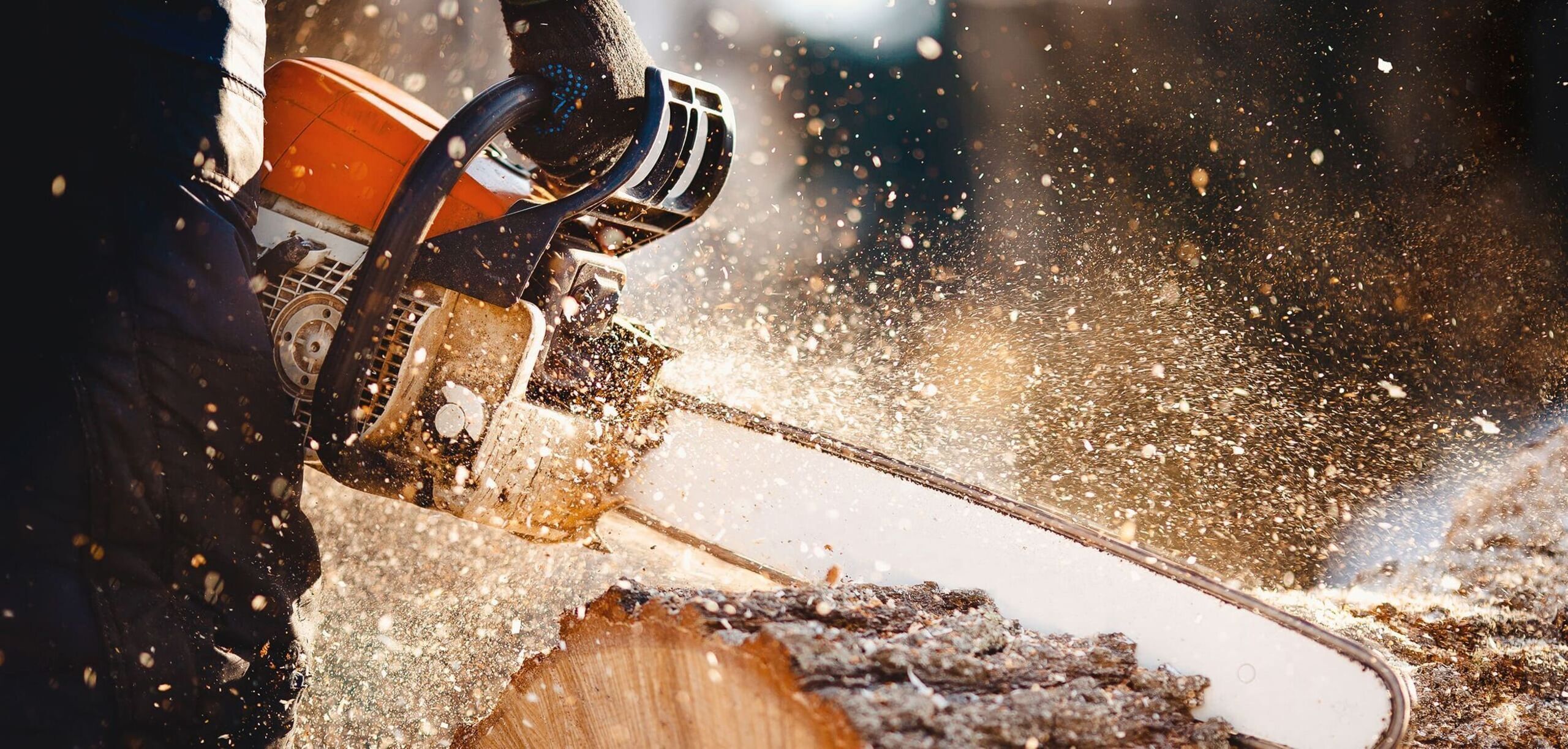Person schneidet einen Baumstamm mit einer Kettensäge