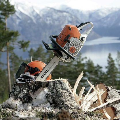 Kettensäge in einem Baumstumpf